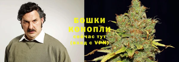 спиды Горнозаводск