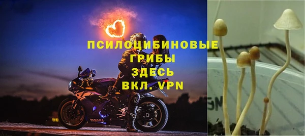 метадон Горняк
