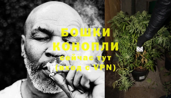 метадон Горняк