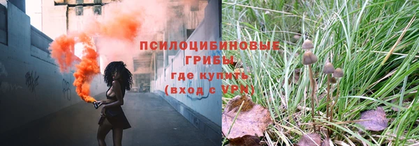 метадон Горняк