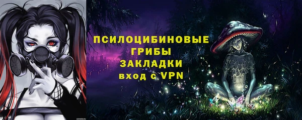 спиды Горнозаводск