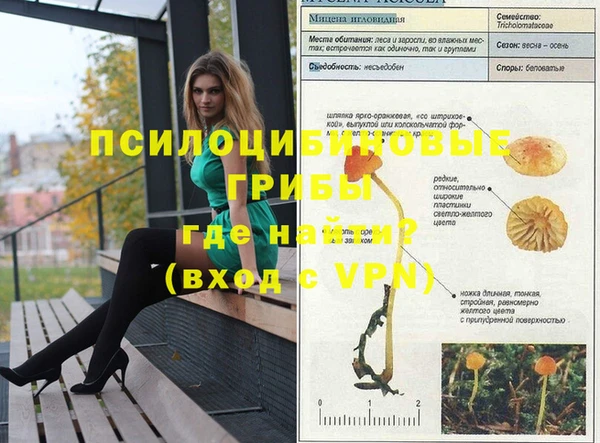 спиды Горнозаводск